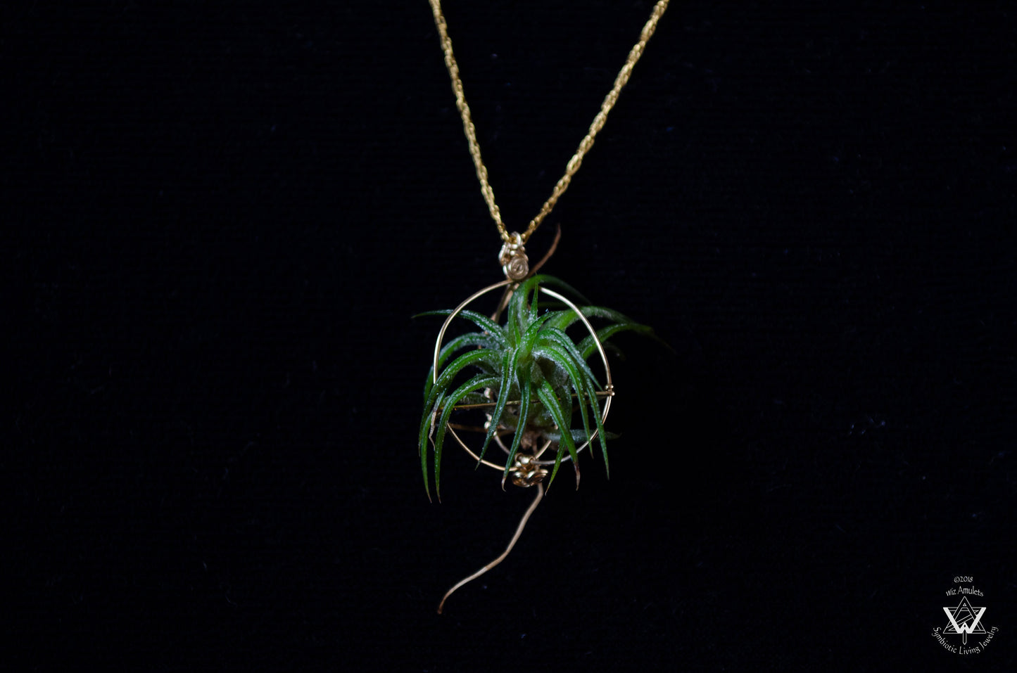Minimalist 14K Gold Air Plant Orb Pendant ~ Dainty