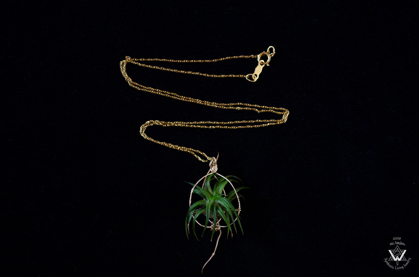Minimalist 14K Gold Air Plant Orb Pendant ~ Dainty