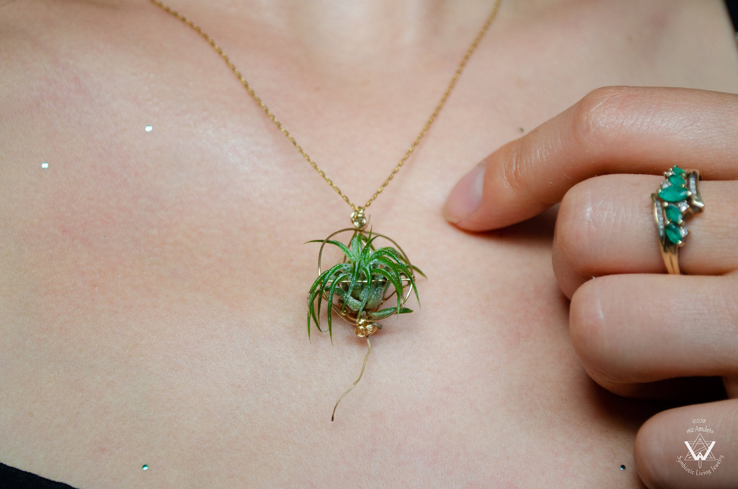 Minimalist 14K Gold Air Plant Orb Pendant ~ Dainty