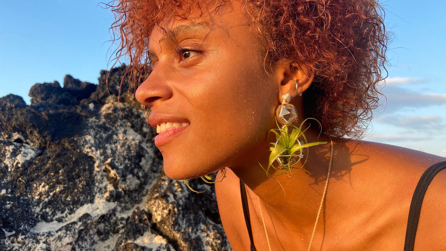 Geometric Crystal Ball Air Plant Stud Earrings - Metaphysical Platonic Solids