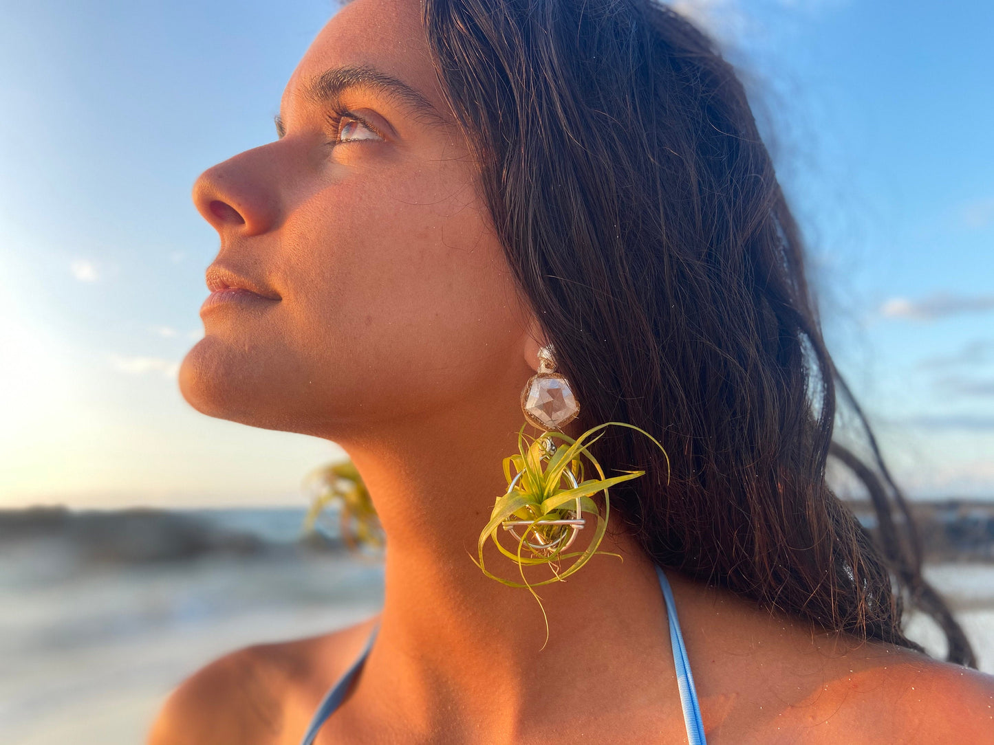 Geometric Crystal Ball Air Plant Stud Earrings - Metaphysical Platonic Solids