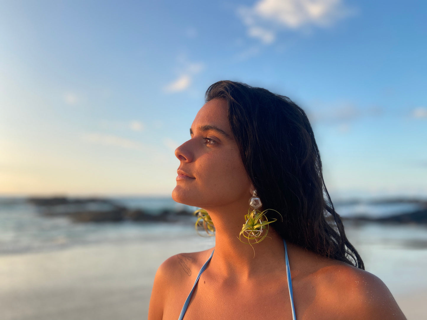 Geometric Crystal Ball Air Plant Stud Earrings - Metaphysical Platonic Solids