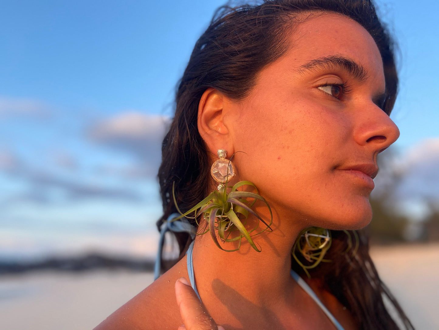 Geometric Crystal Ball Air Plant Stud Earrings - Metaphysical Platonic Solids