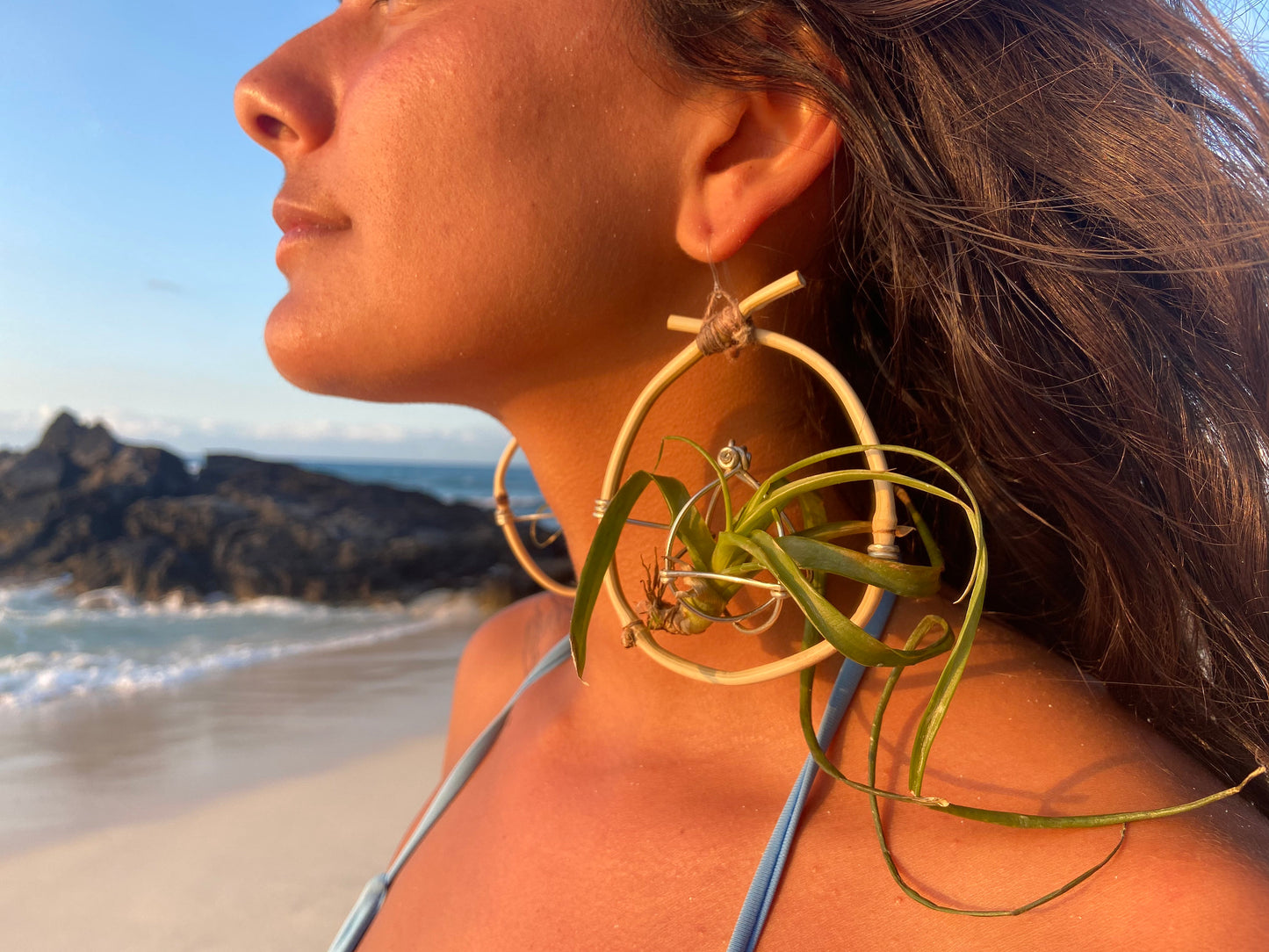 Bamboo Air Plant Organic Hoop Earrings