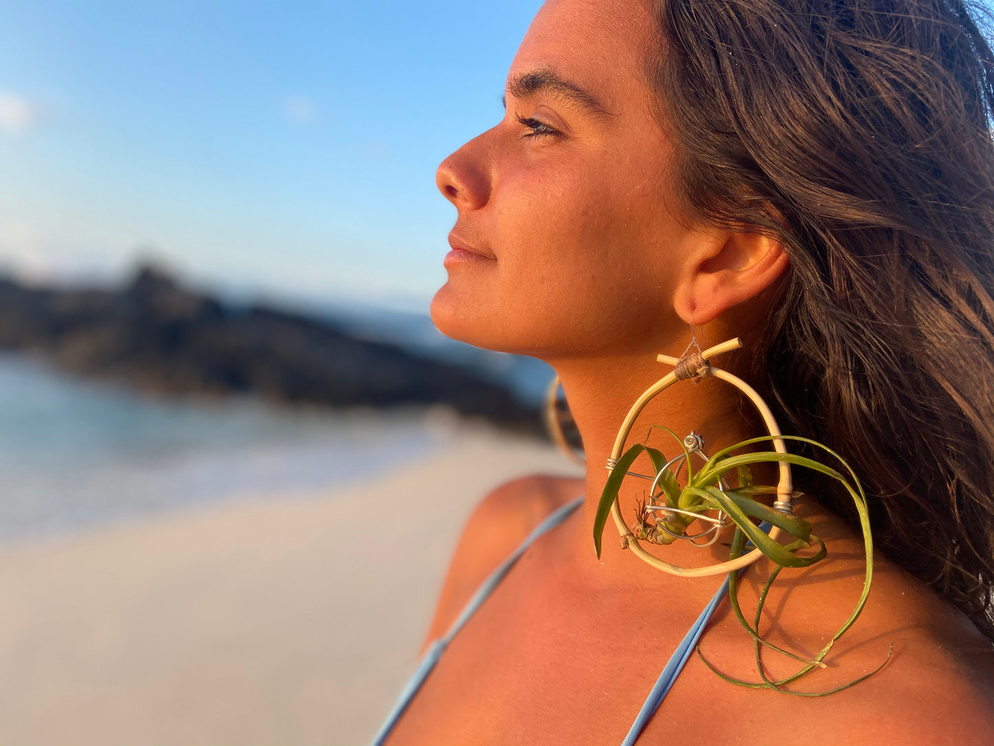 Bamboo Air Plant Organic Hoop Earrings