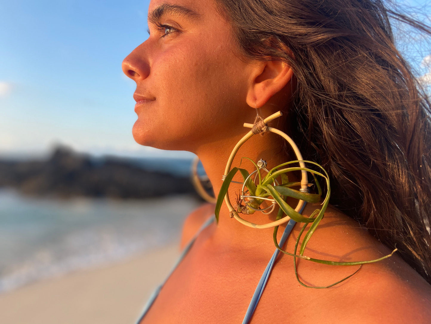 Bamboo Air Plant Organic Hoop Earrings