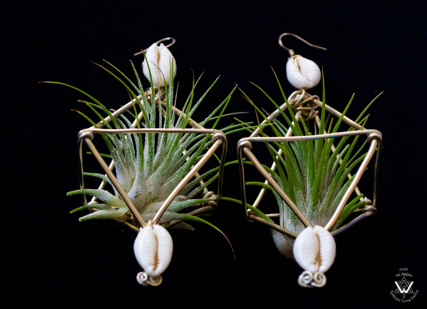 Large Diamond Air Plant Earrings - Geometric Octahedrons (Sterling Silver)