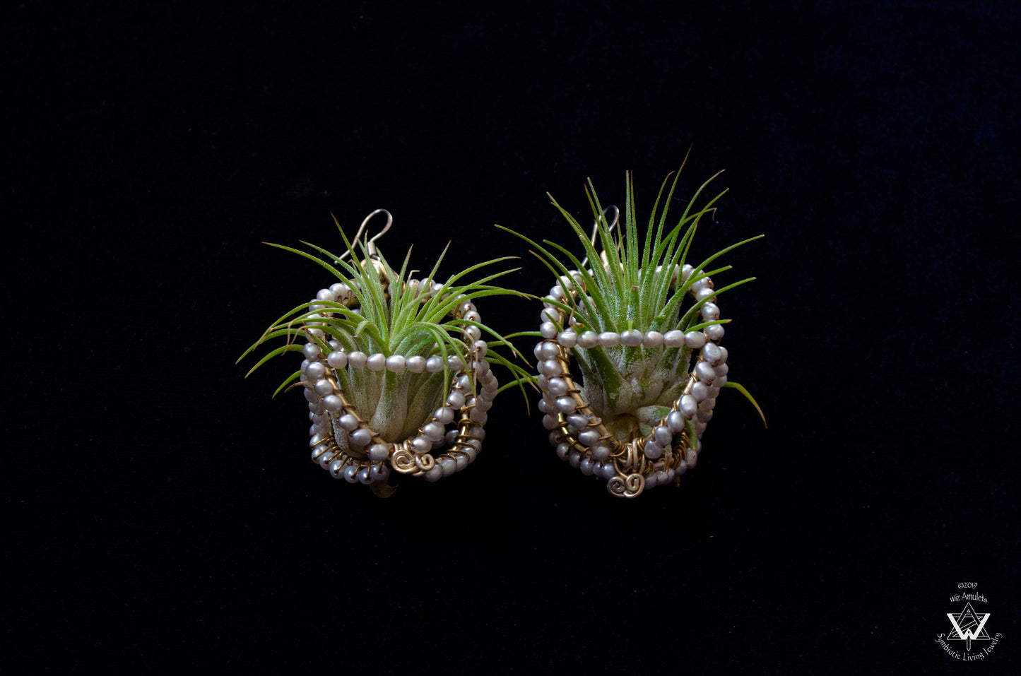 Air Plant Pearl Embroidered Orb Carriage Earrings