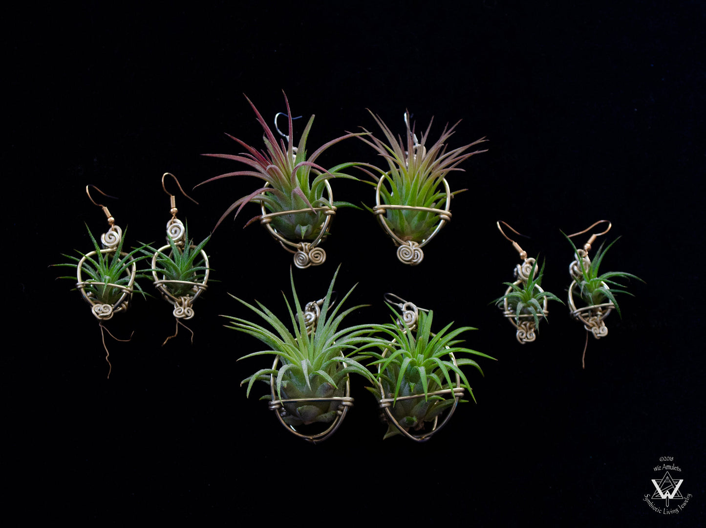 Air Plant Original Orb Earrings