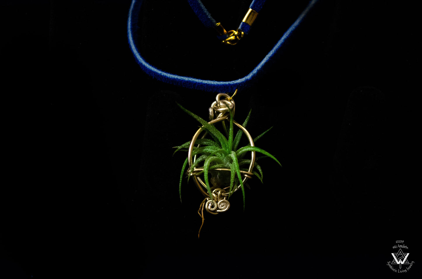 Air Plant Orb Pendant ~ Dainty Minimalist