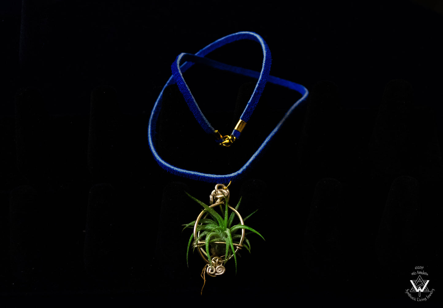 Air Plant Orb Pendant ~ Dainty Minimalist