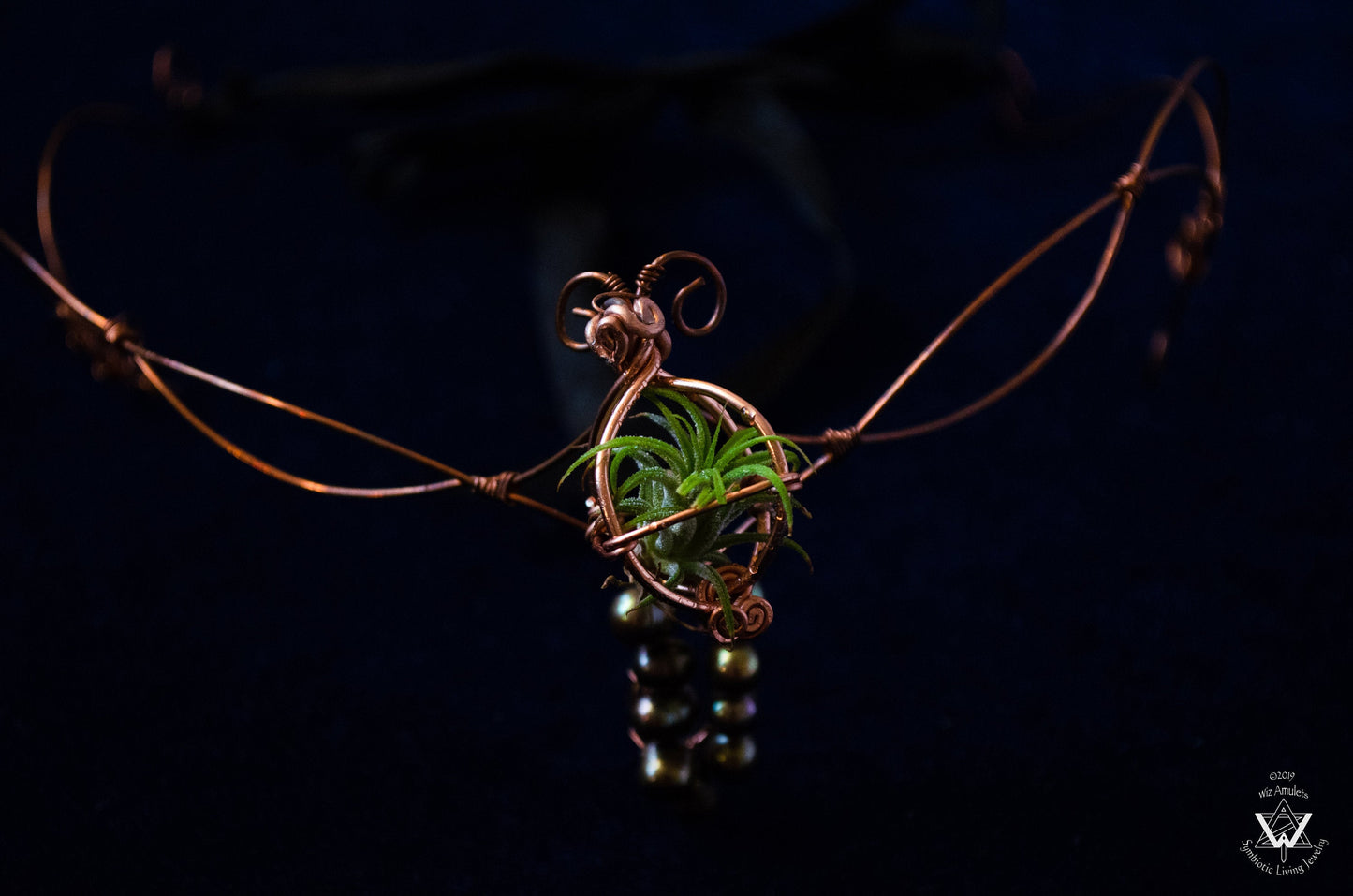 Air Plant Fairy Circlet Tiara Diadem Crown