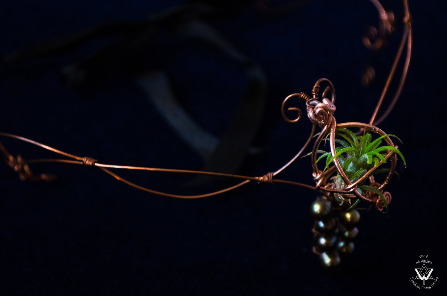 Air Plant Fairy Circlet Tiara Diadem Crown