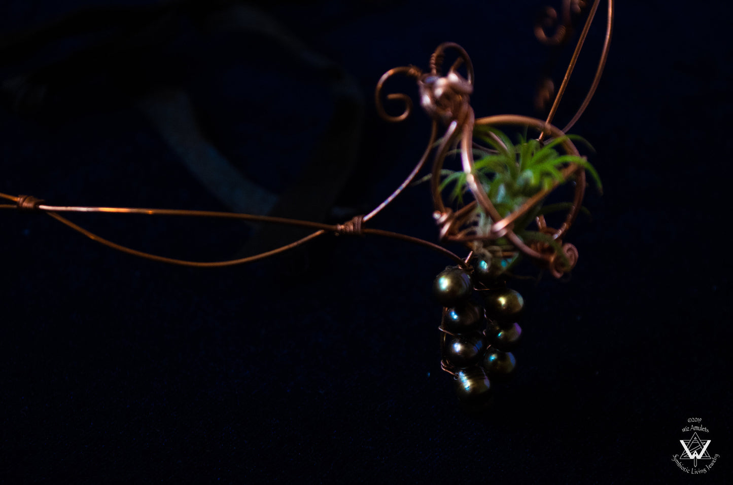 Air Plant Fairy Circlet Tiara Diadem Crown