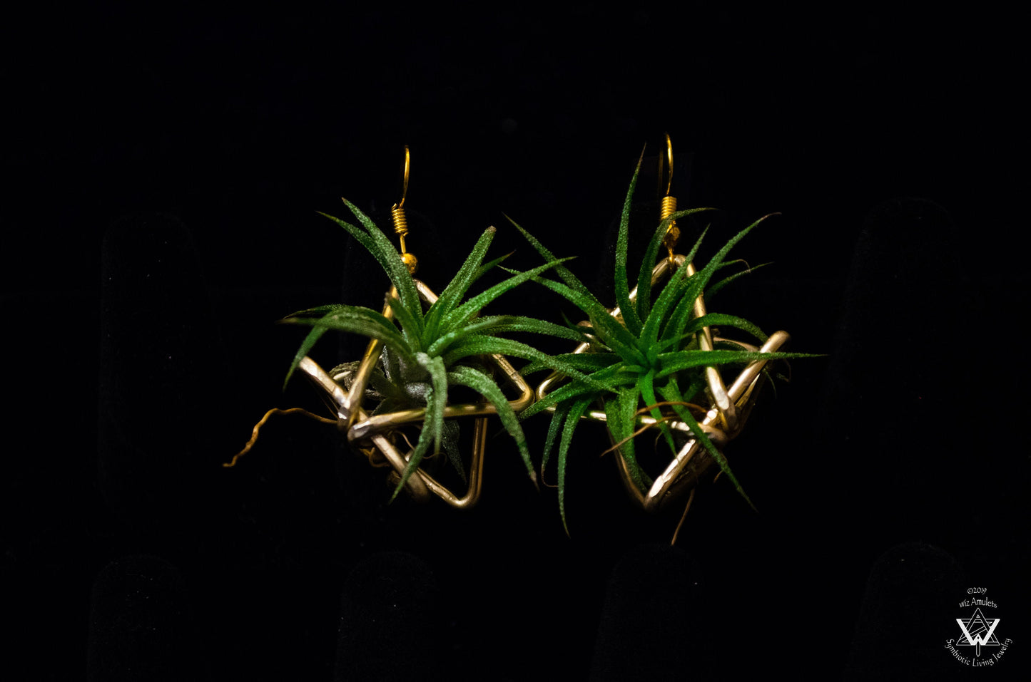 Triple Triangle Geometric Air Plant Earrings