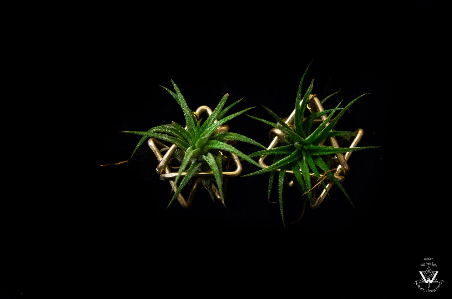 Triple Triangle Geometric Air Plant Earrings