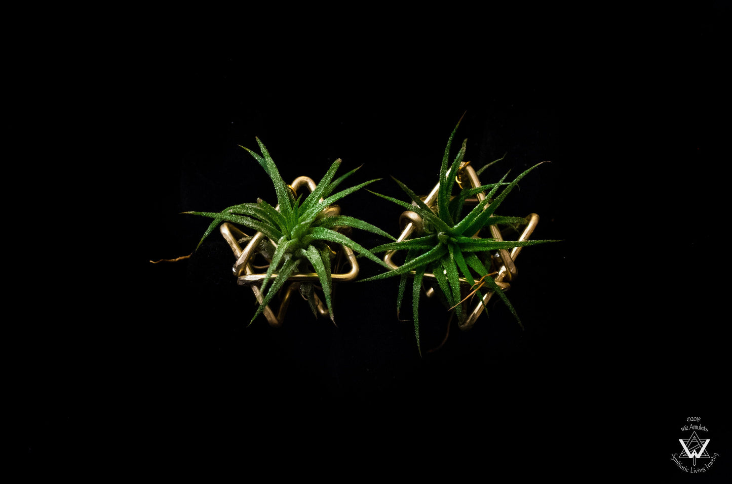 Triple Triangle Geometric Air Plant Earrings