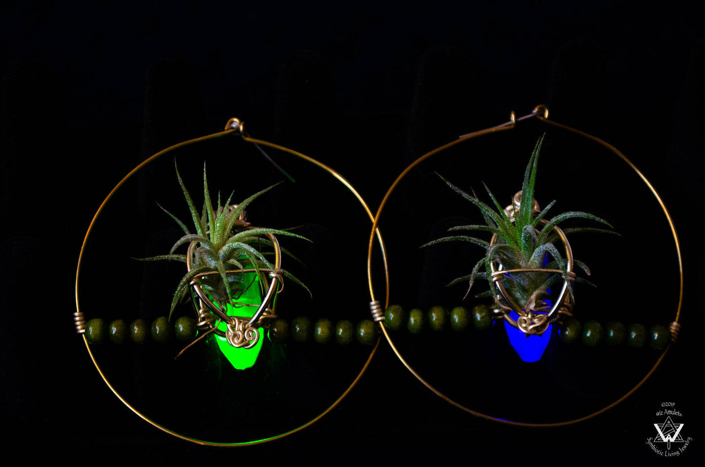 Glow Grow Air Plant Hoop Earrings ~  LED Illuminated