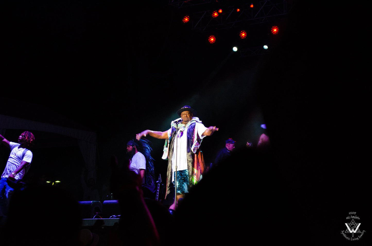 Air Plant Necklace - Funky Superstar Blingy Character Necklace