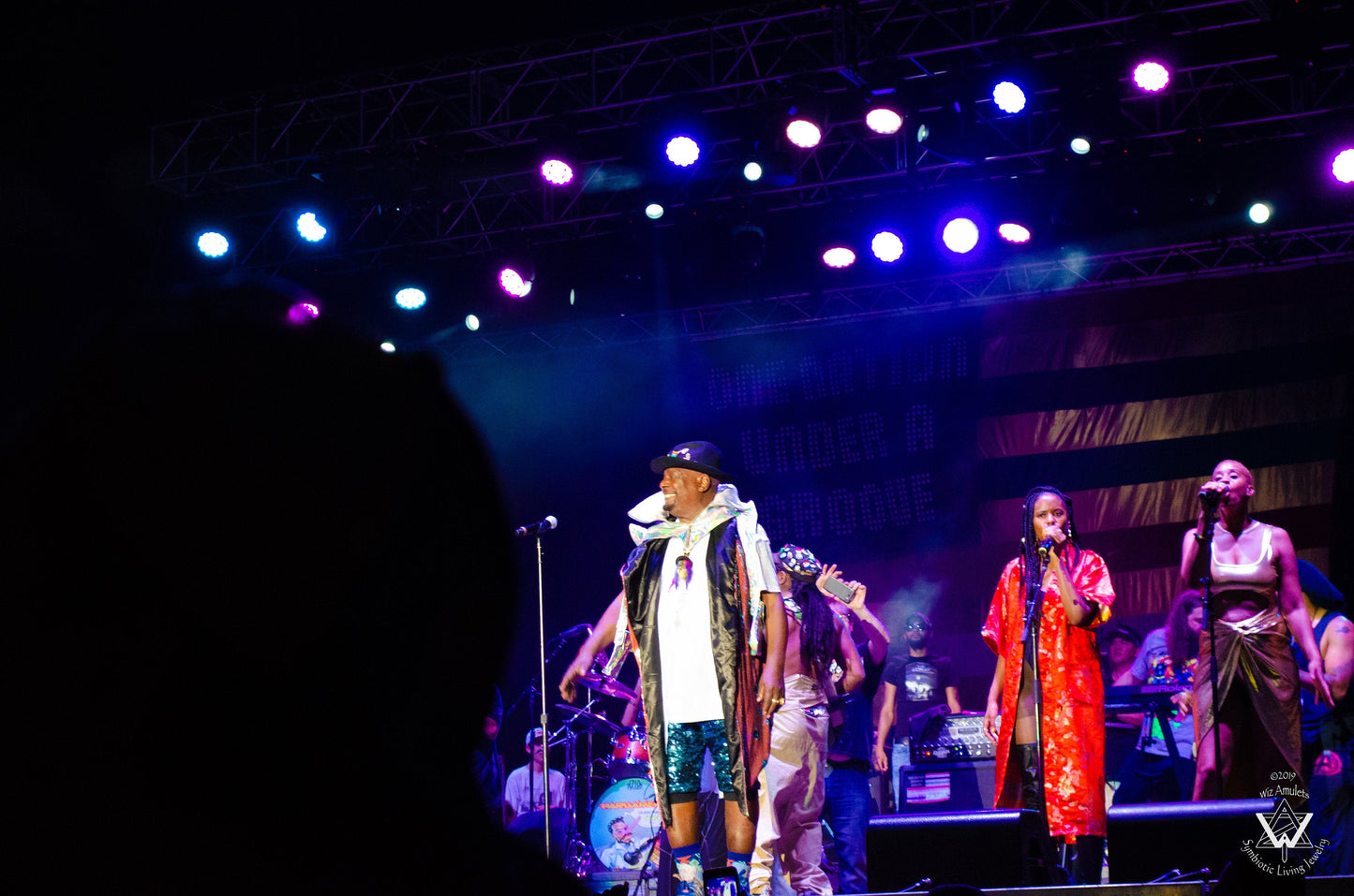 Air Plant Necklace - Funky Superstar Blingy Character Necklace