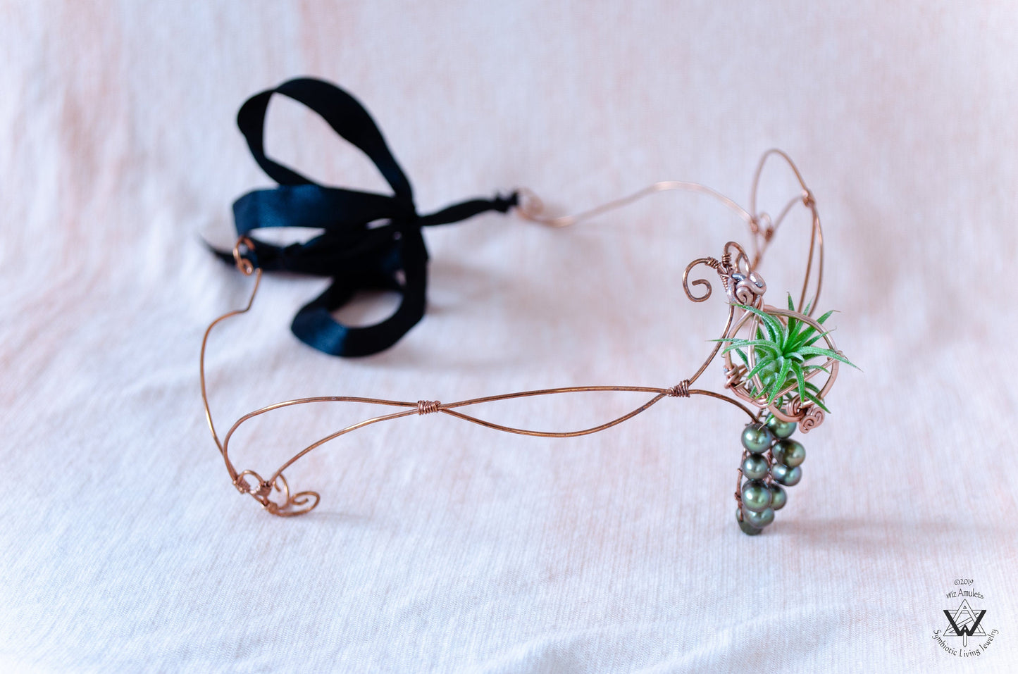 Air Plant Fairy Circlet Tiara Diadem Crown