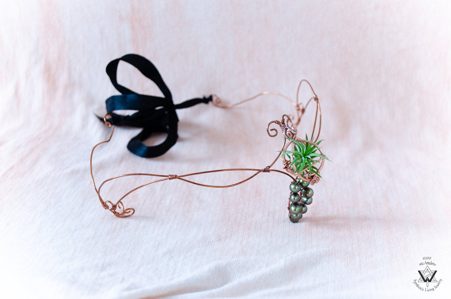 Air Plant Fairy Circlet Tiara Diadem Crown