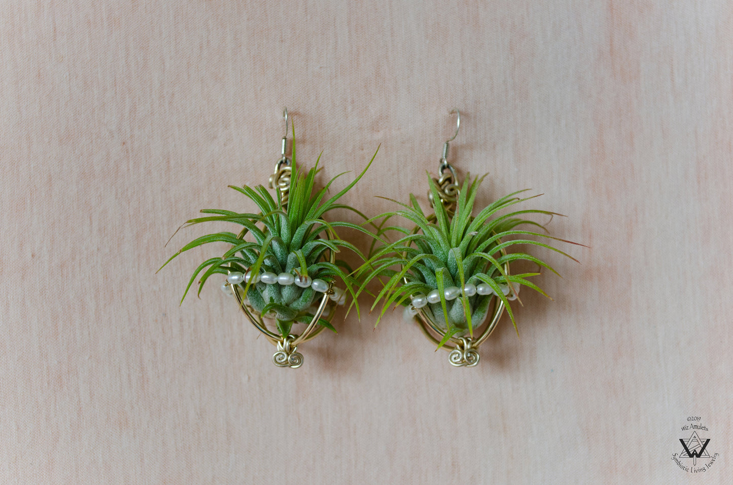 Air Plant Pearl Embroidered Orb Carriage Earrings