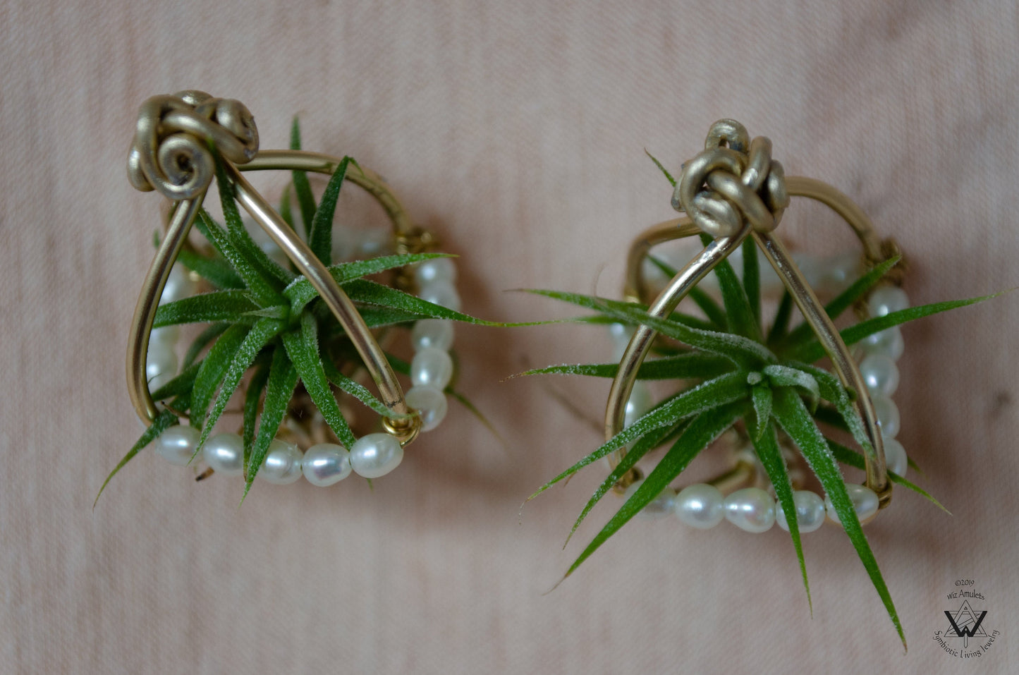 Air Plant Pearl Embroidered Orb Carriage Earrings
