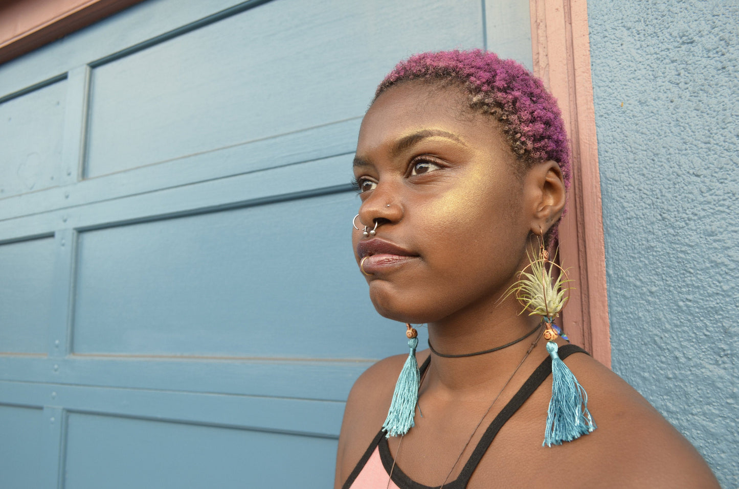 Strawberry Air Plant Earrings ~ Straw-bAiry