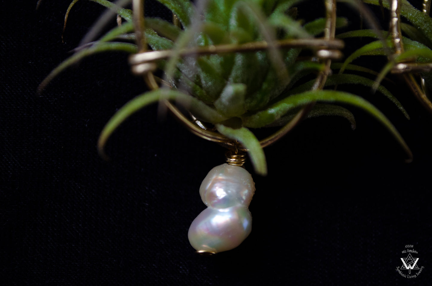 Strawberry Air Plant Earrings ~ Straw-bAiry