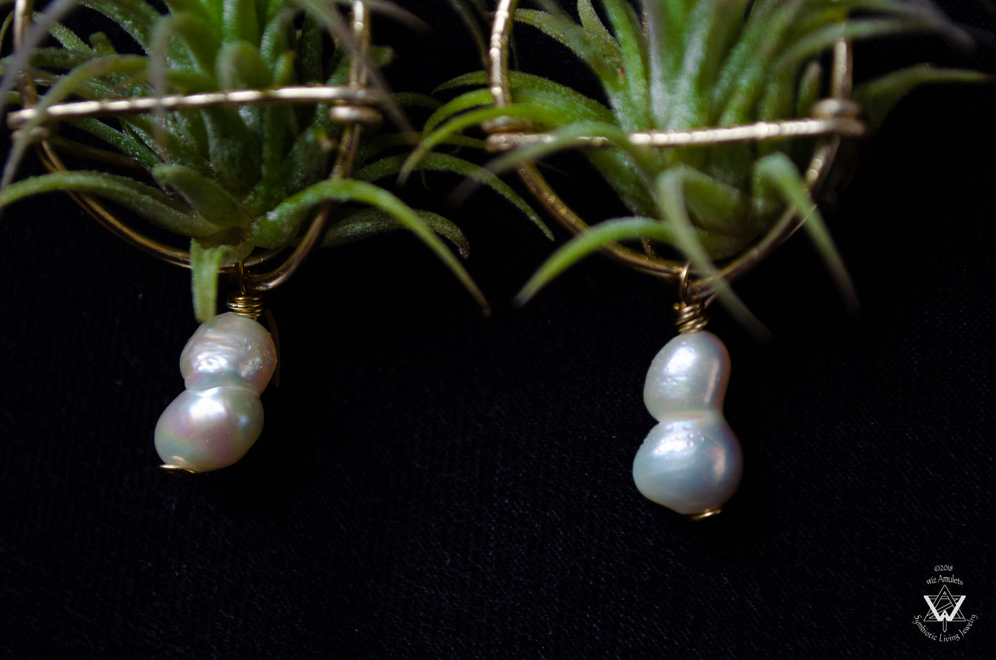 Strawberry Air Plant Earrings ~ Straw-bAiry