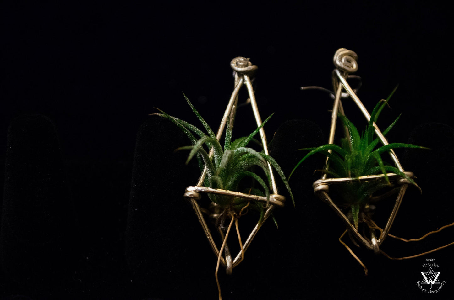 Long Diamond Air Plant Earrings ~ Geometric Tetrahedron Earrings