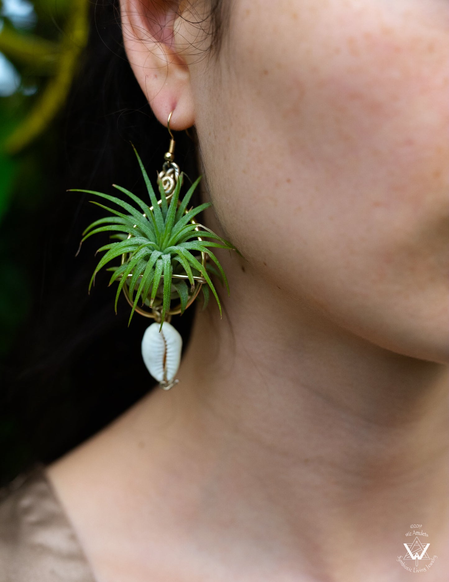 Air Plant Original Orb Earrings