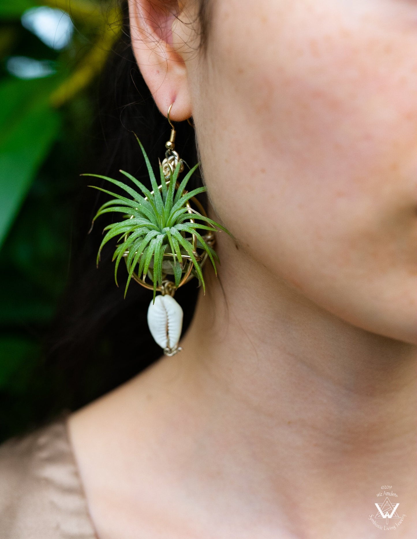 Air Plant Original Orb Earrings