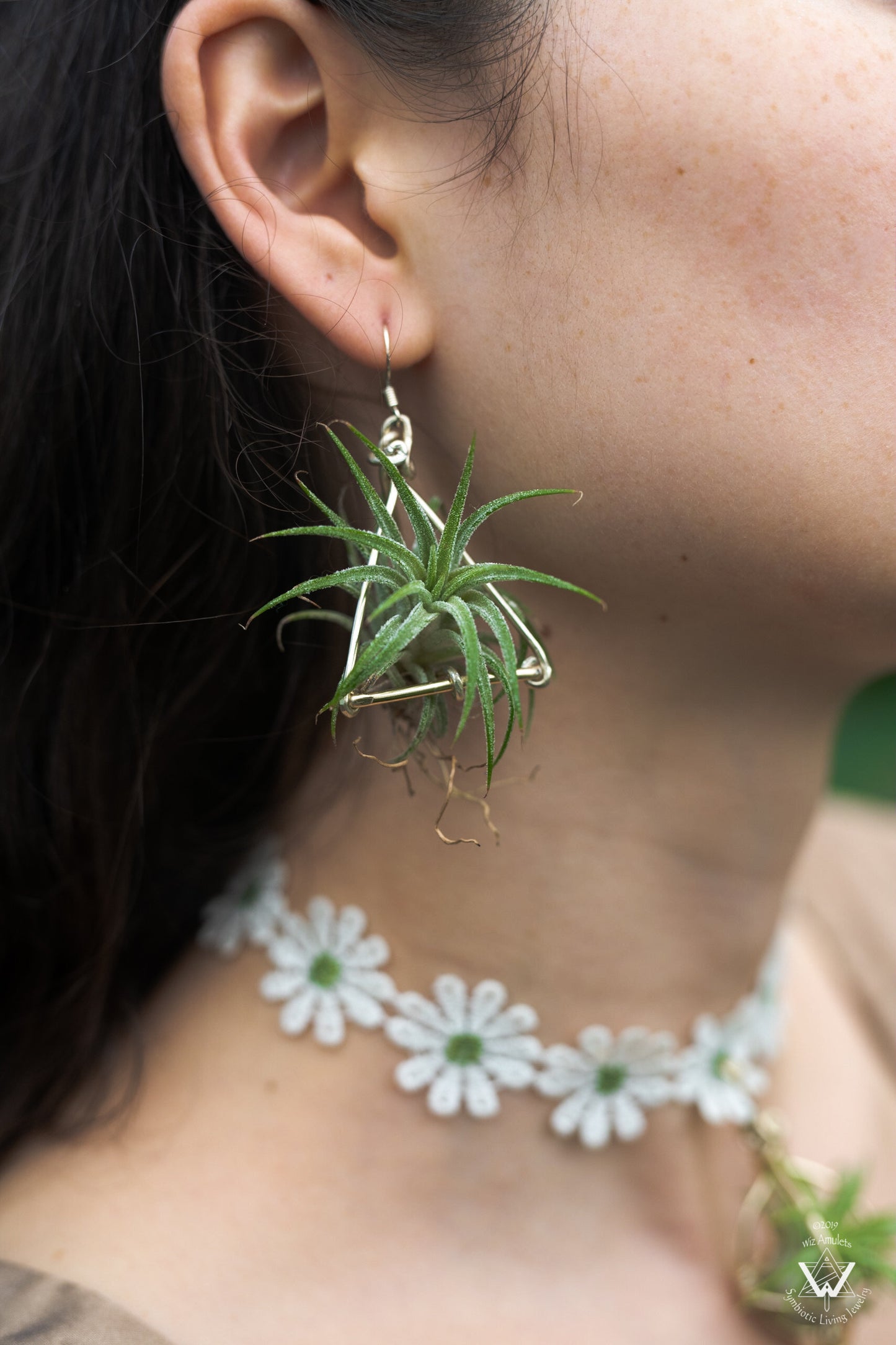 Air Plant Tetrahedron Pyramid Earrings ~ 3D Geometric