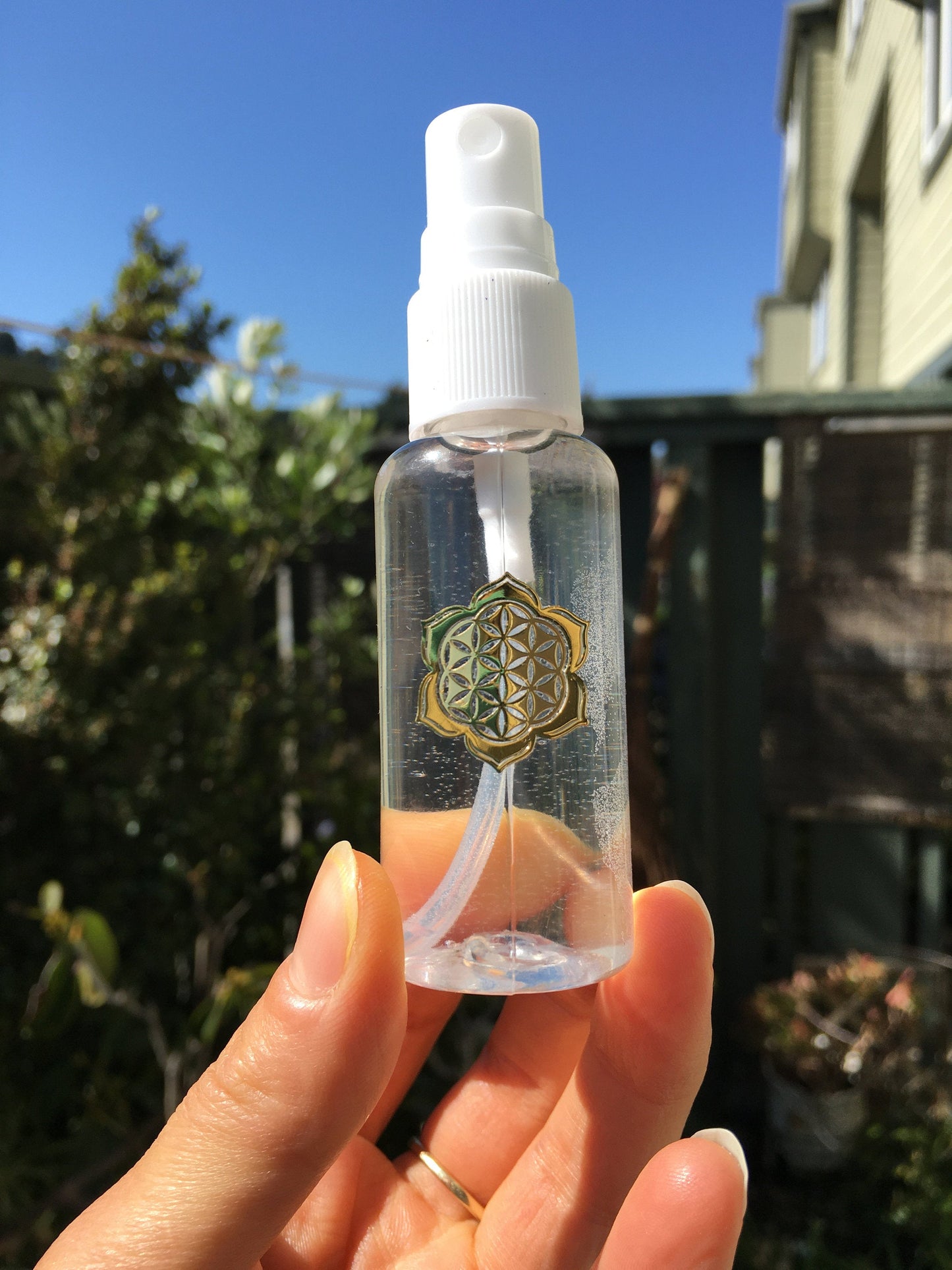 Air Plant Hydration Mist Water Spray Bottle w/ Sacred Geometry