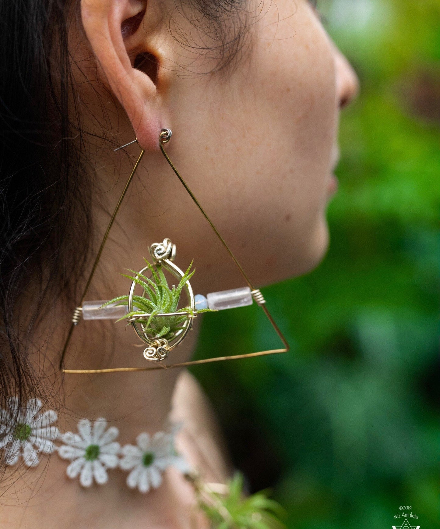 Triangular Air Plant Hoop Earrings ~ Geometric Tillandsia Earrings