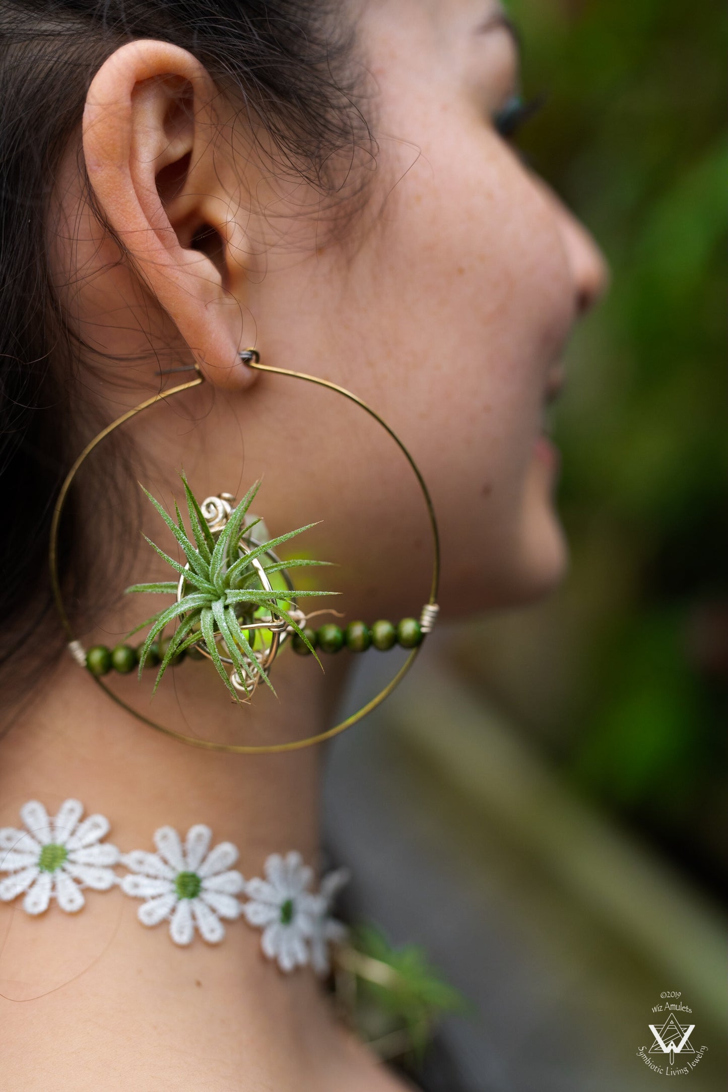 Glow Grow Air Plant Hoop Earrings ~  LED Illuminated