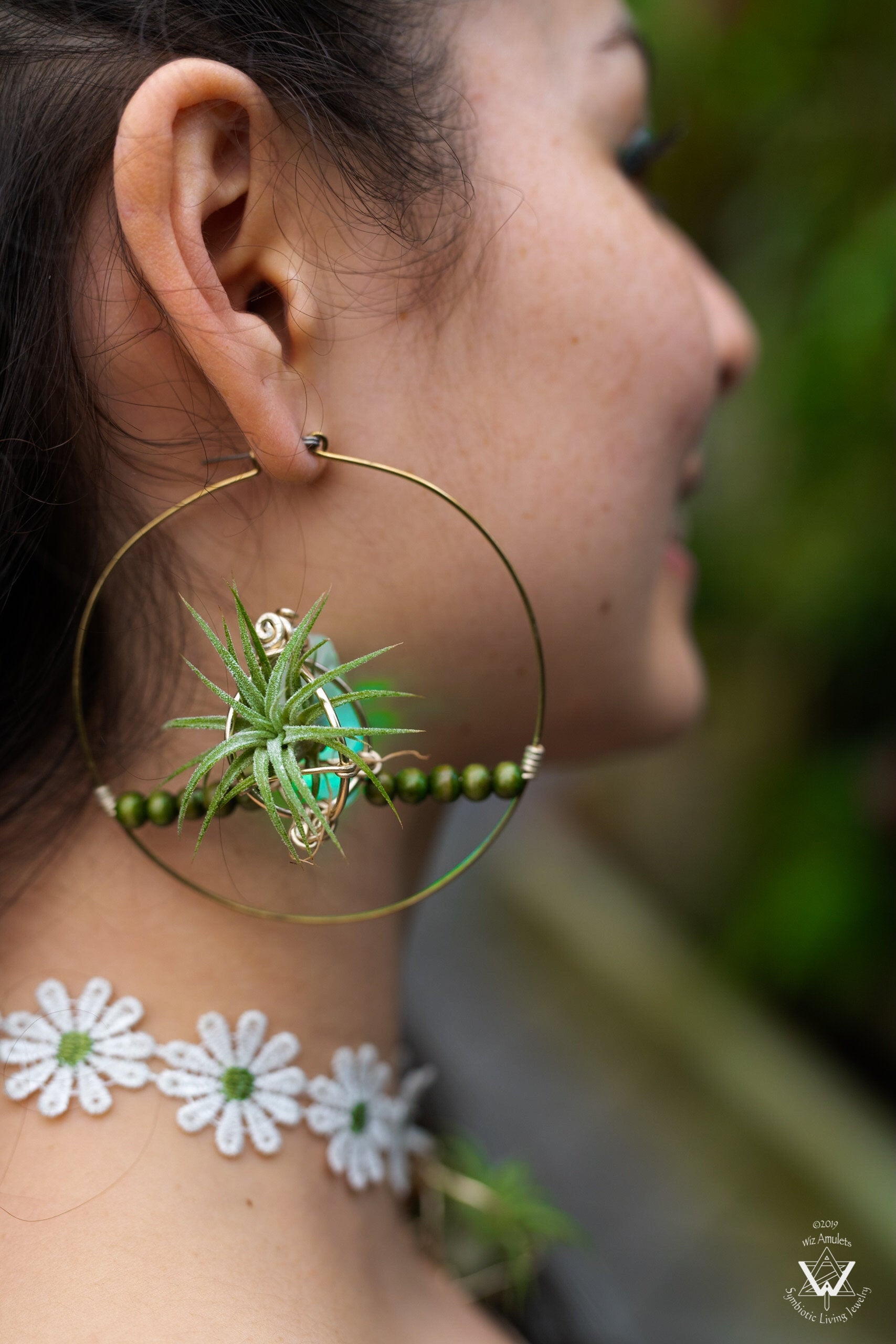 air plant hoop Glow Grow Air Plant Hoop Earrings ~ LED Illuminated – AirPlantNina Symbiotic Living Jewelry