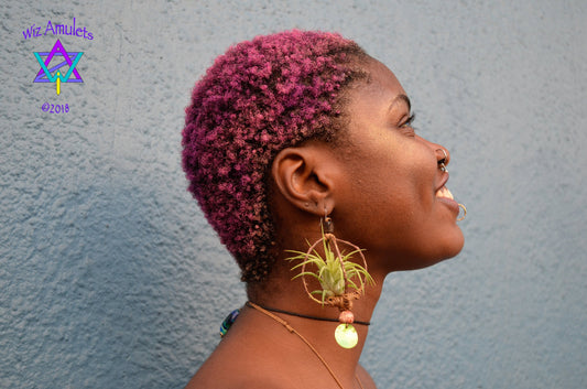 Air Plant Earrings Wood Branch Orb ~ Living Metal-Free Earrings