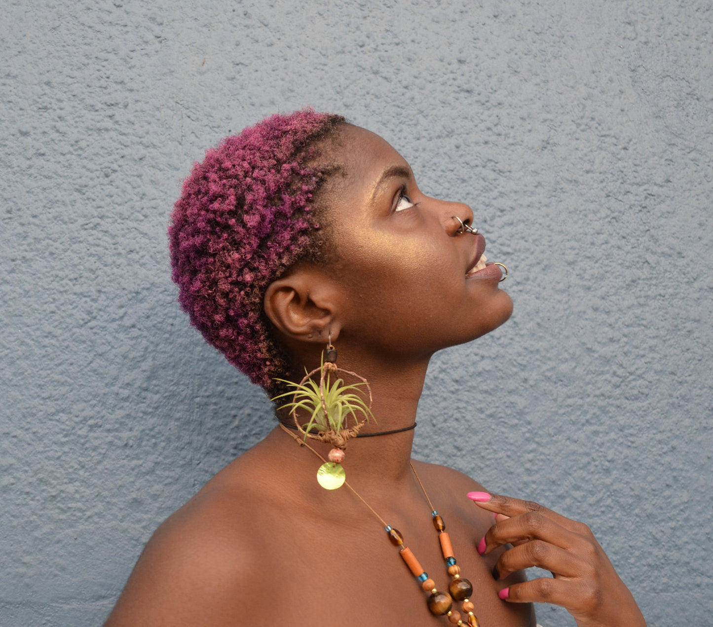 Air Plant Earrings Wood Branch Orb ~ Living Metal-Free Earrings