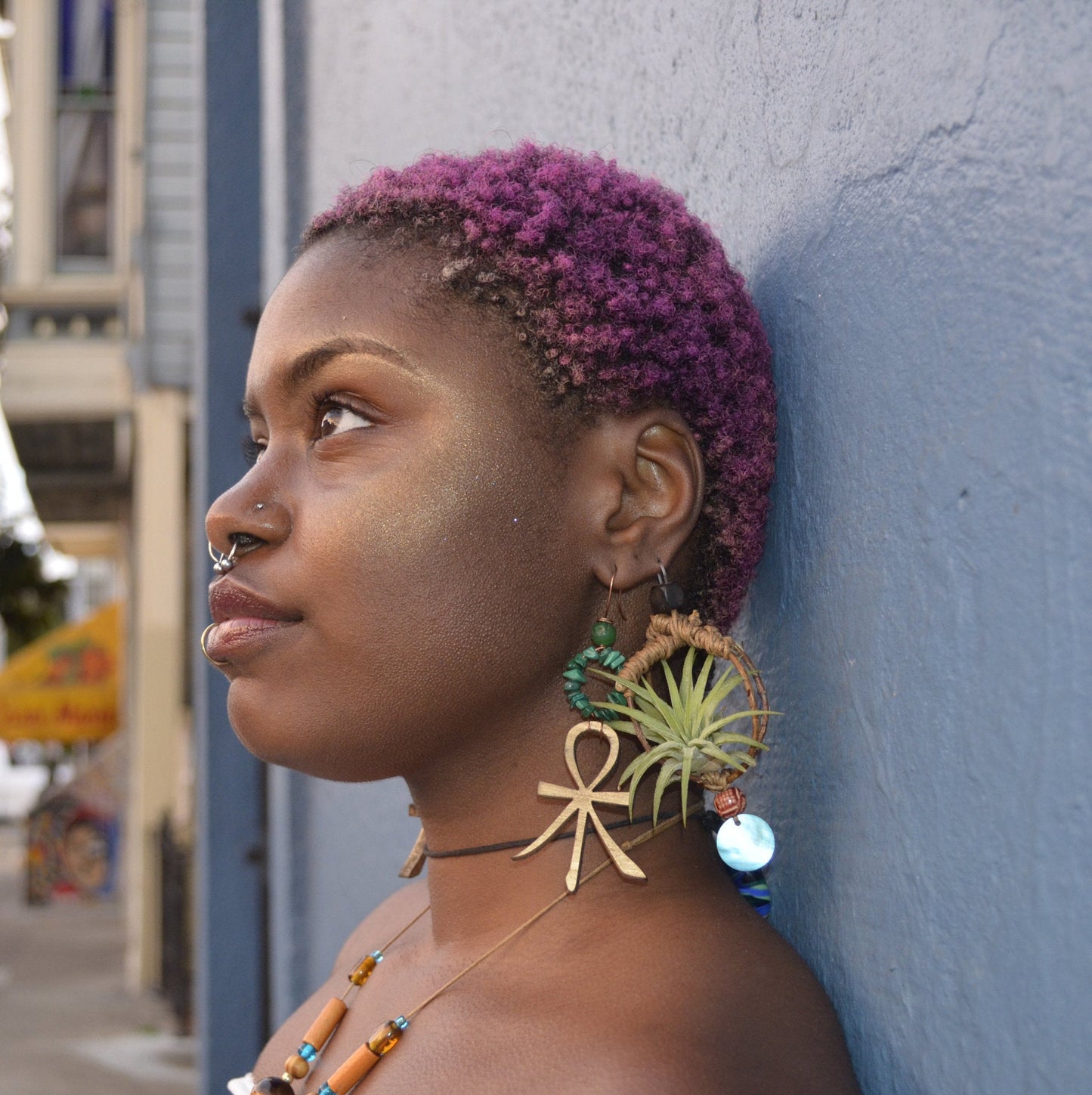 Air Plant Earrings Wood Branch Orb ~ Living Metal-Free Earrings