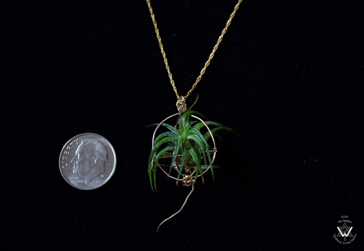 Minimalist 14K Gold Air Plant Orb Pendant ~ Dainty