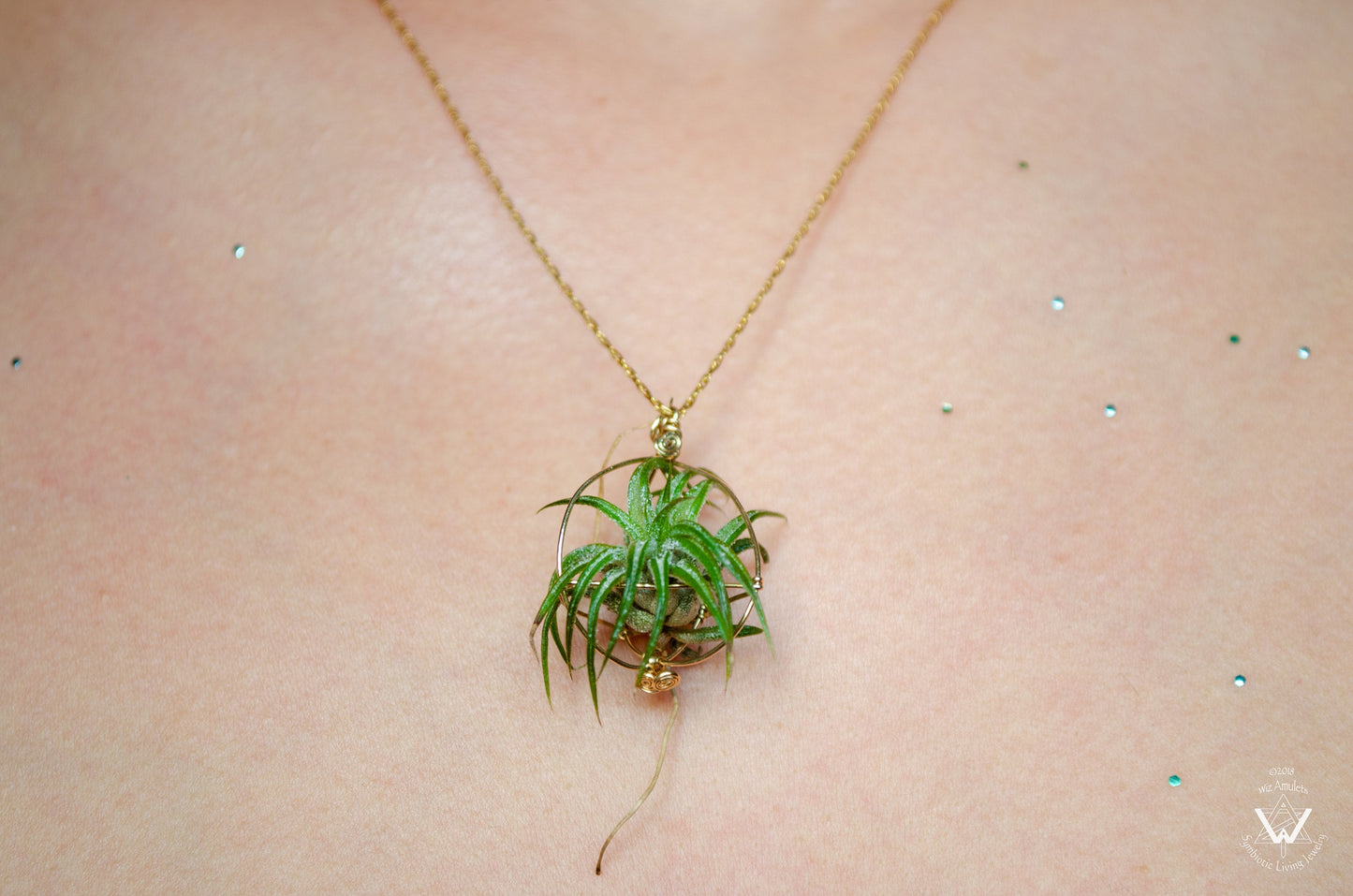 Minimalist 14K Gold Air Plant Orb Pendant ~ Dainty