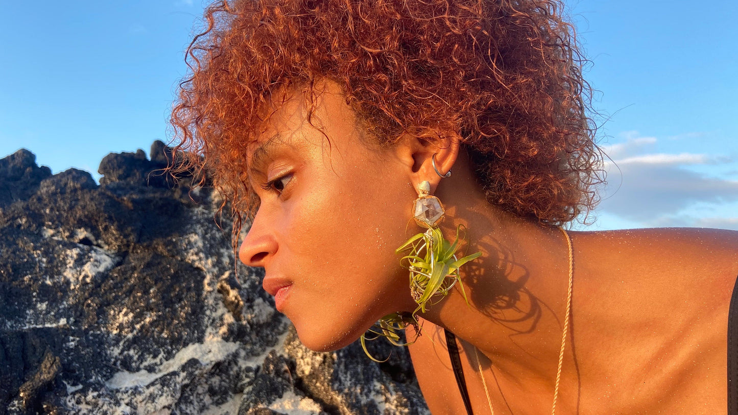 Geometric Crystal Ball Air Plant Stud Earrings - Metaphysical Platonic Solids