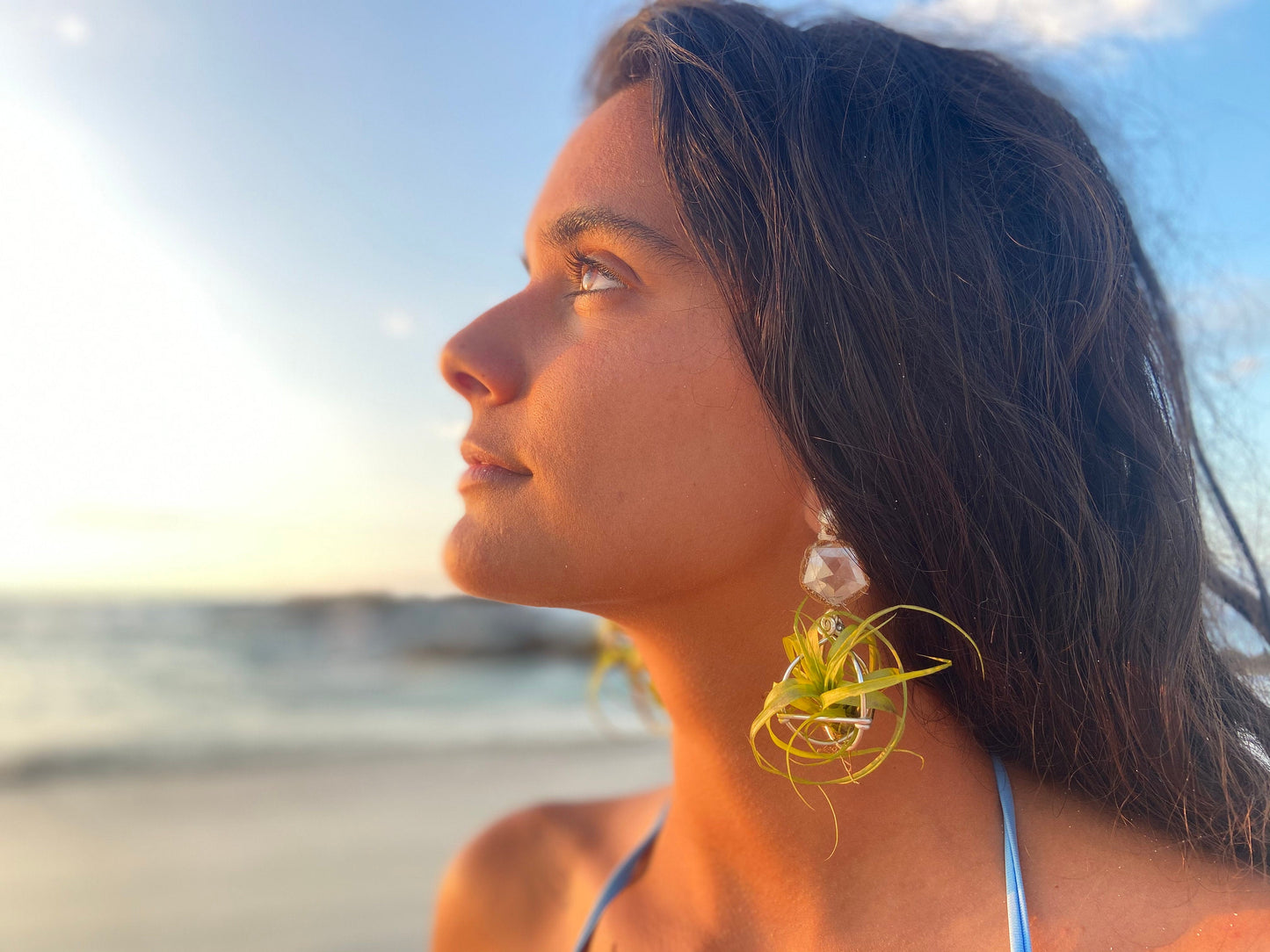 Geometric Crystal Ball Air Plant Stud Earrings - Metaphysical Platonic Solids