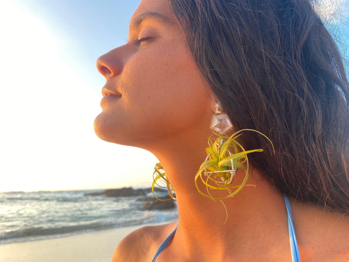 Geometric Crystal Ball Air Plant Stud Earrings - Metaphysical Platonic Solids