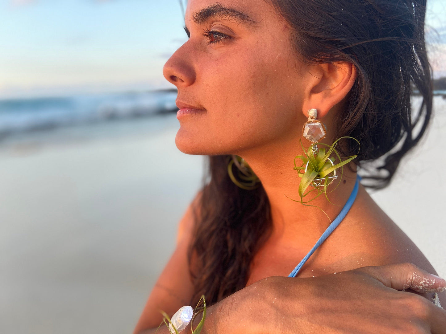 Geometric Crystal Ball Air Plant Stud Earrings - Metaphysical Platonic Solids