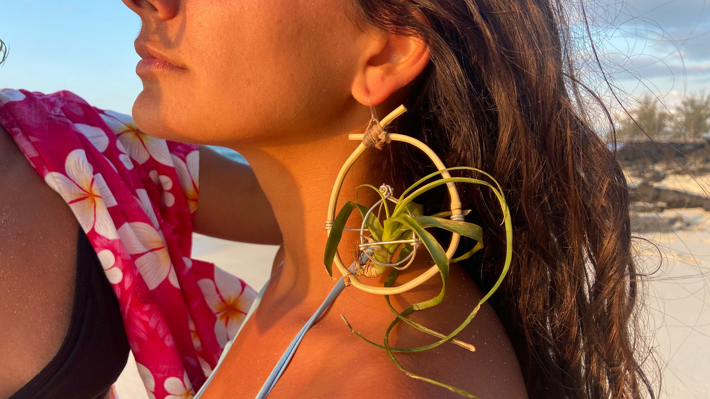 Bamboo Air Plant Organic Hoop Earrings