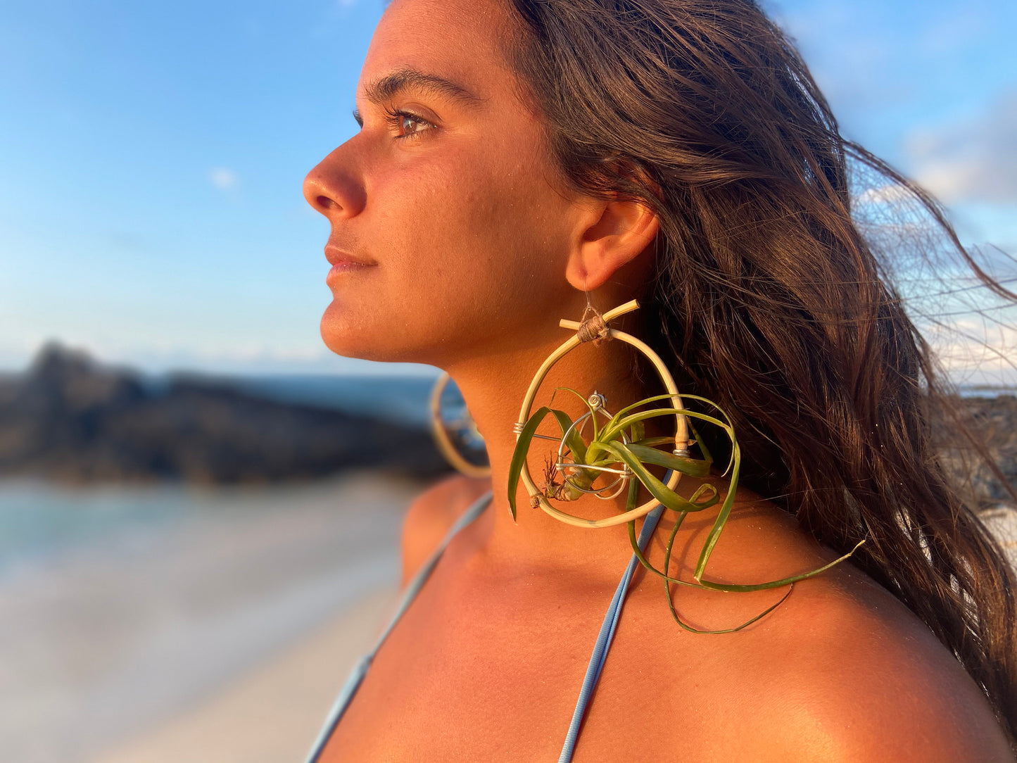 Bamboo Air Plant Organic Hoop Earrings